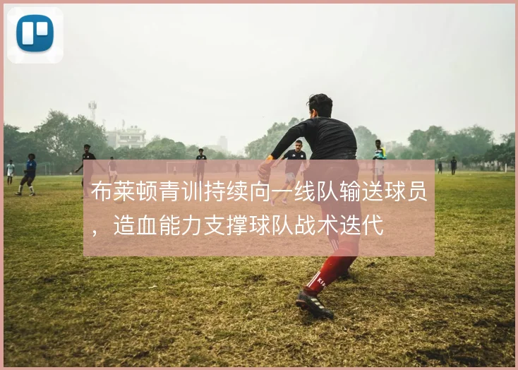 布莱顿青训持续向一线队输送球员，造血能力支撑球队战术迭代