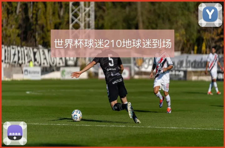 世界杯球迷210地球迷到场