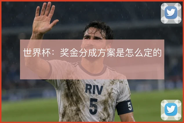 世界杯:奖金分成方案是怎么定的